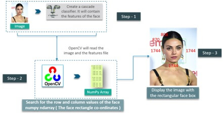 opencv python tutorial face recognition