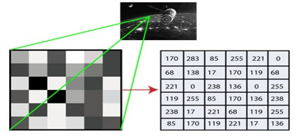 opencv python tutorial for beginners