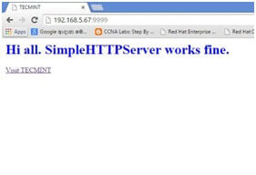 named simple http server
