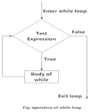 difference between for and while loop in python